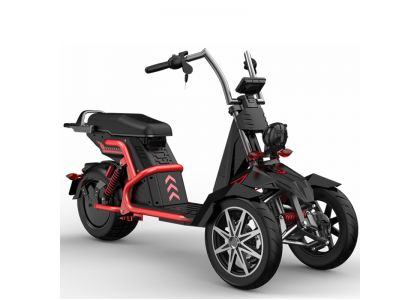 New Model Trike For Disabler
