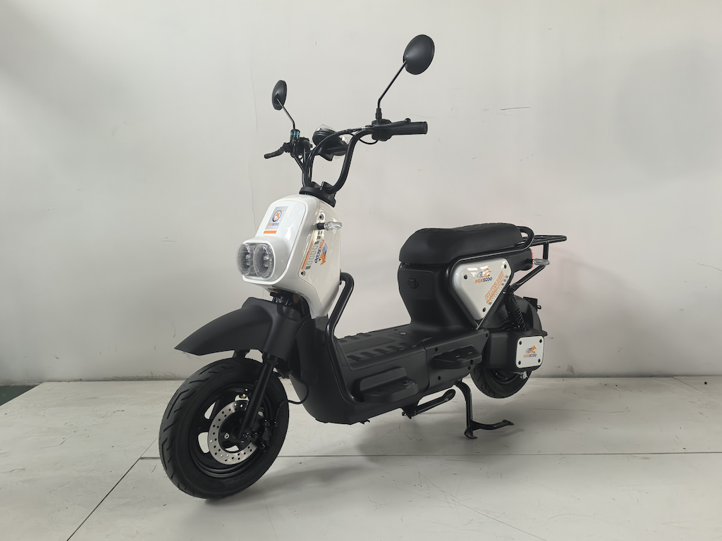 ELECTRIC MOTORCYCLE 1000W BRAZIL STANDARD