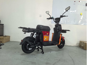 2026 1000W ELECTRIC MOTORCYCLE